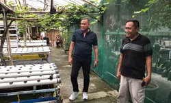 Keluhkan Omset yang Turun, Tri Adhianto Dorong UMKM Agrowisata Tanterika Bekasi untuk Go Online