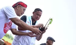 Tri Adhianto Dorong Urban Farming Sebagai Solusi Ketahanan Pangan dan Wisata Hijau di Kota Bekasi