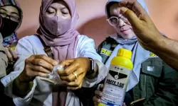 DBD Meningkat di Musim Hujan, Dinkes Bandung Imbau Warga Tingkatkan Kewaspadaan