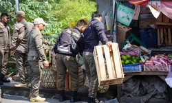 Rudy Susmanto Apresiasi Penertiban Bangunan Liar dan PKL di Sempadan Jalan Cilebut-Bojonggede