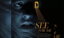 Sinopsis Film See For Me (2021), Ketika Seorang Wanita Tunanetra Harus Berjuang Menghadapi Pencuri Bersenjata