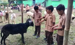 Wali Kota Bandung Apresiasi Satgas Hewan Kurban 2025: Cegah Ribuan Hewan Tak Layak Potong