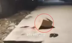 Tragis! Lansia Tewas Dilempar Dongkrak oleh Bajing Loncat di Kolong Jembatan Marunda