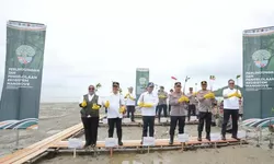 ANTAM Dorong Pelestarian Mangrove dan Pemberdayaan Masyarakat Pesisir di Kalimantan Barat