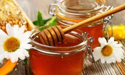 11 Manfaat Madu bagi Kesehatan Tubuh