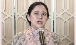 Gaji DPR Menggiurkan, Total Penghasilan Bulanan Bisa Capai Ratusan Juta