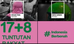 Tren Pink-Hijau-Biru Kuasai Media Sosial, Jadi Simbol Perlawanan Warganet