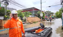 Warga Bali Kembali Beraktivitas Seperti Biasa Setelah PLN Pulihkan Listrik Dari Bencana