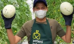 Peringati Hari Tani Nasional 2025: Refleksi Agraria, Teknologi, dan Kedaulatan Pangan di Era Digital