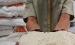 Harga Beras Mahal di September 2025, Konsumen Tertekan, Pedagang Ikut Pusing