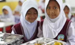 Program Makan Bergizi Gratis dan Regulasi Penanggulangan Kasus