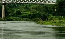 Kisah Dina Oktaviani dan Wajah Gelap Relasi Kuasa di Tempat Kerja