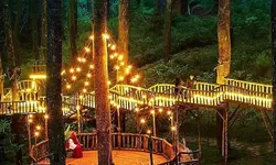 Liburan Seru ke Bandung? Ini Dia Rekomendasi Wisata Alam, Keluarga, dan Instagramable 2025