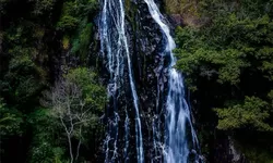 Nggak Cuma Danau Toba! Ini Tiga Destinasi Rahasia yang Lagi Hits di Sumatera Utara