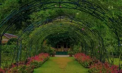 Liburan ke Garut? Ini 5 Tempat Wisata Kekinian yang Wajib Kamu Coba!