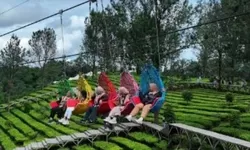 Harga Tiket dan Wahana Terbaru Agrowisata Gunung Mas Puncak Bogor 2025