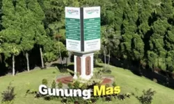 Menjelajahi Gunung Mas Puncak, Tiket Murah, Spot Foto Keren, dan Aktivitas Dijamin Seru