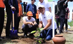 Gaspol! Pemkab Bogor Tanam 100 Ribu Pohon untuk Pulihkan DAS, Libatkan Kerja Sama Multi-Sektor