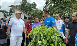 Gaungkan Gerakan Hijaukan Bumi, Bupati Bogor dan Menko AHY Tanam Pohon di Taman Siliwangi
