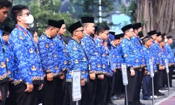 BERAPA RILIS Jumlah Formasi Per Pemda? Ada yang Uusulkan 7.000 Formasi PPPK P3K, Segini Totalnya