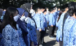 SELAMAT! MenPAN RB Kasih Kado Istimewa Untuk Honorer, Usulan 4.000 Formasi dari Pemda