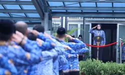 Panduan Syarat Pendaftaran CPNS 2024 dan PPPK 2024 Sampai Cara Bikin Akun, Tutorial Lengkap Sampai Ikut Tes