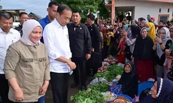 Serba Serbi Kunjungan Kerja! Intip Keseruan Presiden Jokowi dan Ibu Negara di Bulukumba