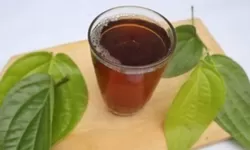 Cara Alami Mengatasi Stres dengan Terapi Daun Sirih: Hasilnya Luar Biasa!