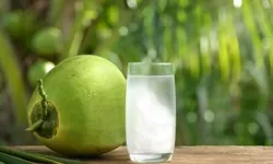 5 Resep Kue Lezat dengan Bahan Dasar Air Kelapa Hijau, Simak Yuk!