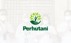Gaji Karyawan BUMN di PT Perhutani Terbaru 2024, Mayoritas di Atas UMR!