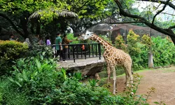 Pengelola Bandung Zoo Targetkan 7.000 Pengunjung Pada Libur Panjang
