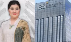 Disebut Tak Pantas Jadi Komisaris BSI, Felicitas Tallulembang Pernah Jadi Anggota DPR RI
