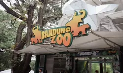 Polemik Bandung Zoo Kian Kusut, Wali Kota Farhan Serahkan Penanganan Hukum ke Kejati