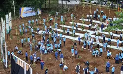 Pemkab Bogor dan KLHK Tanam Pohon di Gunung Mas Puncak untuk Pelestarian Lingkungan
