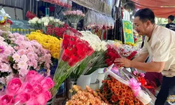 Penjualan Bunga Jelang Hari Valentine Mulai Ramai