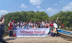 PMR  Bersama JRC Gencarkan Aksi Konservasi dengan Menanam Mangrove di PIK