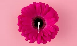 Kapan Waktu yang Tepat untuk Program Bayi Tabung?