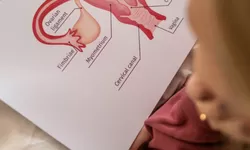 Jangan Terlambat, Ketahui Cara Memberikan Pendidikan Seks Pada Anak Sejak Usia Dini