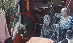 Tragis! Bocah 7 Tahun di Jakarta Selatan Digigit Anjing Tetangga, Saraf Mata Putus