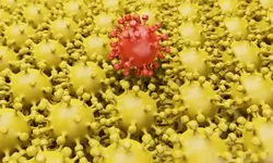 Virus Burung di Kanada Teridentifikasi Sudah Bermutasi Hingga Mudah Menulari Manusia