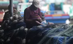 Nilai Tukar Nelayan turun