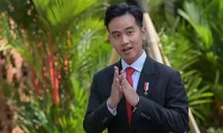 Erizal Soroti Sikap Parpol Usai Putusan MK soal Gibran