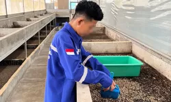 Dari Sampah Jadi Bernilai, Warga Binaan Lapas Cibinong Belajar Budidaya Maggot