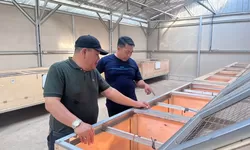 Perkuat Pembinaan Kemandirian, Lapas Kumbang Pelajari Peternakan Ayam di Kendal