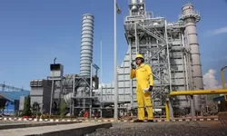 PLN Batam Bantah Pemadaman Listrik Dipicu Data Center, Cadangan Daya 20 Persen