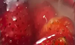 Puding Stroberi Berbelatung di SD Malang, Wali Kota Tegaskan Sanksi untuk SPPG