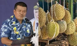 Langkah Abdul Sahid Perkuat Rantai Pasok Durian Parigi Moutong ke Luar Negeri