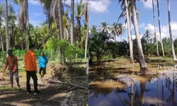 Tujuh Desa Dihantam Banjir, Ratusan Keluarga di Moutong dan Taopa Terdampak