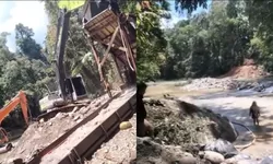 Legislator Ini Disorot Netizen, Limbah Tambang Emas Ilegal Suami Diduga Timbun Sungai Moutong