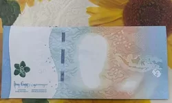 Viral Uang Rp50 Ribu Tanpa Gambar Keluar dari ATM, Kolektor Langsung Berani Bayar Mahal